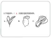2024教科版科學(xué)二年級(jí)上冊(cè)第二單元材料3 書的歷史 作業(yè)課件