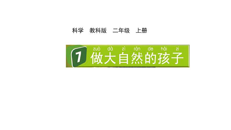 2024教科版科学二年级上册第一单元我们的地球家园7做大自然的孩子教学课件第1页