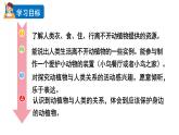 2024教科版科学二年级上册第一单元我们的地球家园7做大自然的孩子教学课件