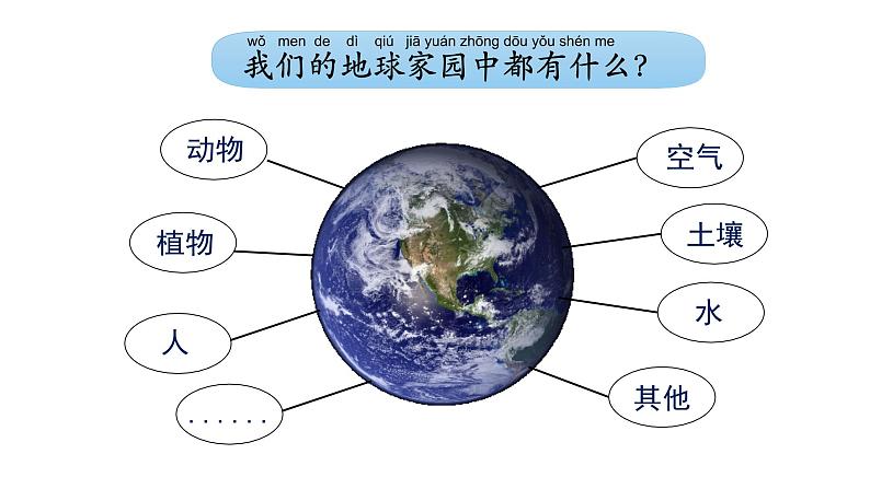 2024教科版科学二年级上册第一单元我们的地球家园7做大自然的孩子教学课件第3页