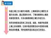 2024教科版科学二年级上册第一单元我们的地球家园2土壤——动植物的乐园教学课件