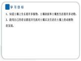 2024教科版科學(xué)二年級上冊第一單元我們的地球家園2土壤——?jiǎng)又参锏臉穲@ 作業(yè)課件