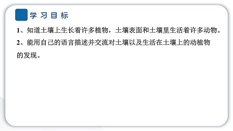 2024教科版科学二年级上册第一单元我们的地球家园2土壤——动植物的乐园 作业课件第2页