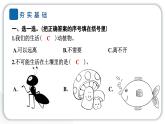 2024教科版科學(xué)二年級上冊第一單元我們的地球家園2土壤——?jiǎng)又参锏臉穲@ 作業(yè)課件