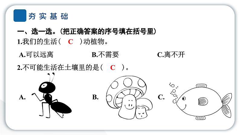 2024教科版科学二年级上册第一单元我们的地球家园2土壤——动植物的乐园 作业课件第3页