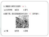 2024教科版科學(xué)二年級上冊第一單元我們的地球家園2土壤——?jiǎng)又参锏臉穲@ 作業(yè)課件