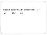 2024教科版科學(xué)二年級上冊第一單元我們的地球家園2土壤——?jiǎng)又参锏臉穲@ 作業(yè)課件