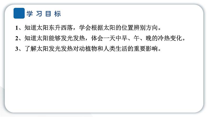 2024教科版科学二年级上册第一单元我们的地球家园3太阳的位置和方向 作业课件第2页