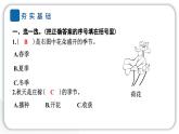 2024教科版科學二年級上冊第一單元我們的地球家園6不同的季節(jié) 作業(yè)課件