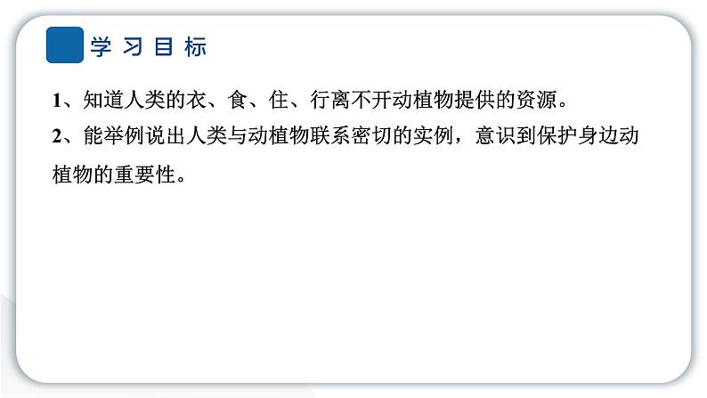 2024教科版科学二年级上册第一单元我们的地球家园7做大自然的孩子 作业课件第2页