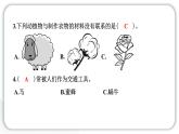 2024教科版科學(xué)二年級(jí)上冊(cè)第一單元我們的地球家園7做大自然的孩子 作業(yè)課件