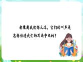 青岛版六三制（2017）科学四年级下册 第6课《声音的传播》课件+教案+素材
