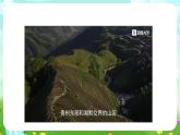 青岛版六三制（2017）科学四年级下册 第13课《种辣椒》课件+教案+素材