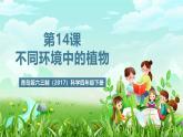 青岛版六三制（2017）科学四年级下册 第14课《不同环境中的植物》课件+教案+素材
