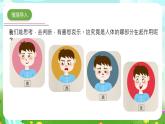 青島版六三制（2017）科學(xué)五年級(jí)下冊(cè)  第1課《我們的腦》課件+教案+素材