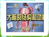 青島版六三制（2017）科學(xué)五年級(jí)下冊(cè)  第3課《保護(hù)腦》課件+教案+素材