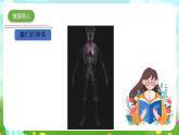 青島版六三制（2017）科學(xué)五年級(jí)下冊(cè)  第4課《心臟和血管》課件+教案+素材