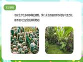 青岛版六三制（2017）科学六年级下册 第6课《给植物分类》课件+教案+素材