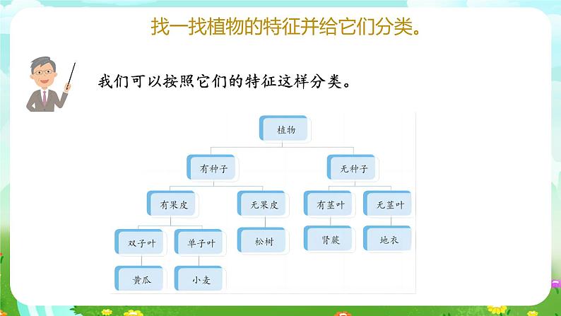 青岛版六三制（2017）科学六年级下册 第6课《给植物分类》课件第8页