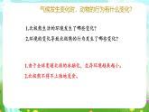 青島版六三制（2017）科學六年級下冊 第7課《動物行為與環(huán)境變化》課件+教案+素材