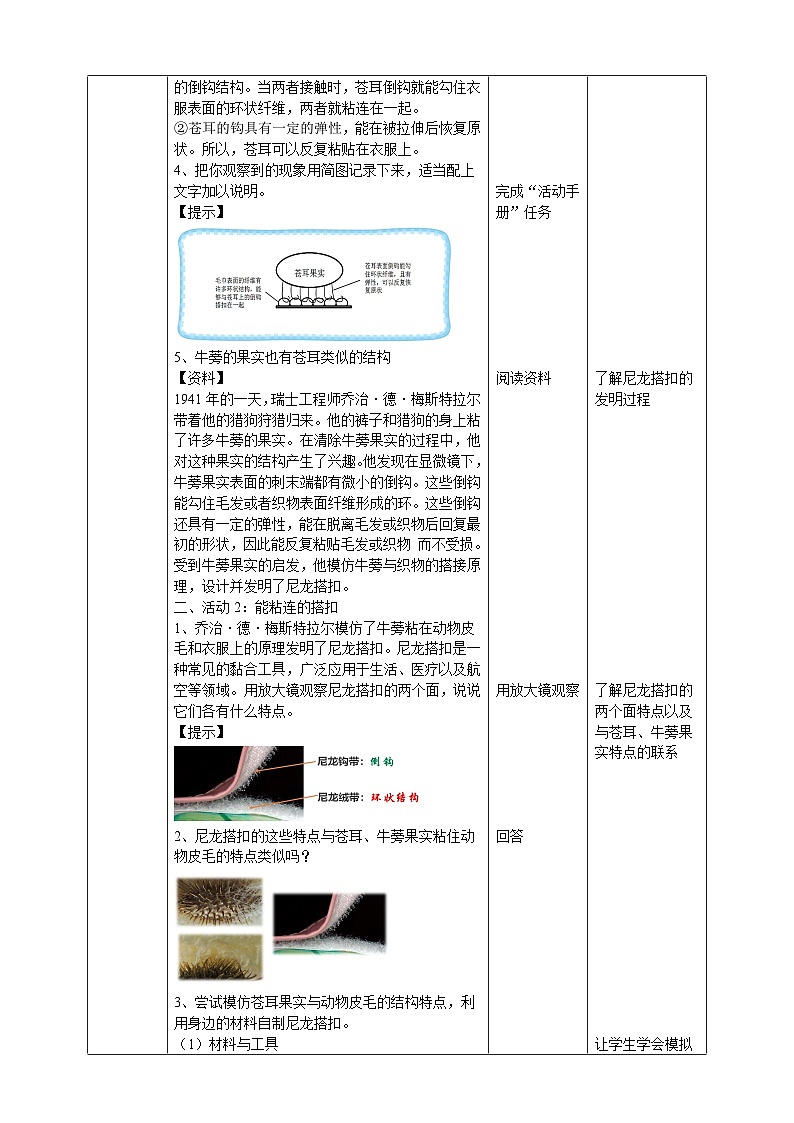 粤教粤科版（2019）科学六年级下册 1.7《大自然的启示》教案第2页