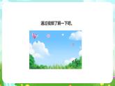 粤教粤科版（2019）科学六下 1.7《大自然的启示》课件+教案+练习+素材