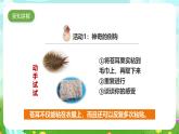 粤教粤科版（2019）科学六下 1.7《大自然的启示》课件+教案+练习+素材