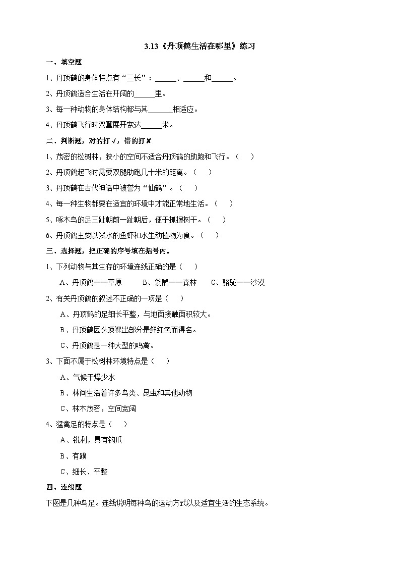 粤教粤科版（2019）科学六下 3.13《丹顶鹤生活在哪里》练习第1页