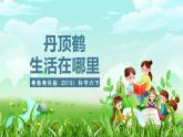 粵教粵科版（2019）科學(xué)六下 3.13《丹頂鶴生活在哪里》課件+教案+練習(xí)+素材