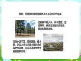 粵教粵科版（2019）科學(xué)六下 3.13《丹頂鶴生活在哪里》課件+教案+練習(xí)+素材