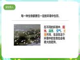 粤教粤科版（2019）科学六下 3.14《生物生存的环境》课件+教案+练习+素材