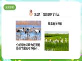 粤教粤科版（2019）科学六下 3.14《生物生存的环境》课件+教案+练习+素材
