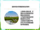 粤教粤科版（2019）科学六下 3.14《生物生存的环境》课件+教案+练习+素材