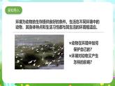 粤教粤科版（2019）科学六下 3.15《动物对环境的适应》课件+教案+练习+素材