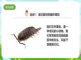 粤教粤科版（2019）科学六下 3.15《动物对环境的适应》课件+教案+练习+素材