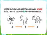 粵教粵科版（2019）科學(xué)六下 3.16《生物間的食物關(guān)系》課件+教案+練習(xí)+素材