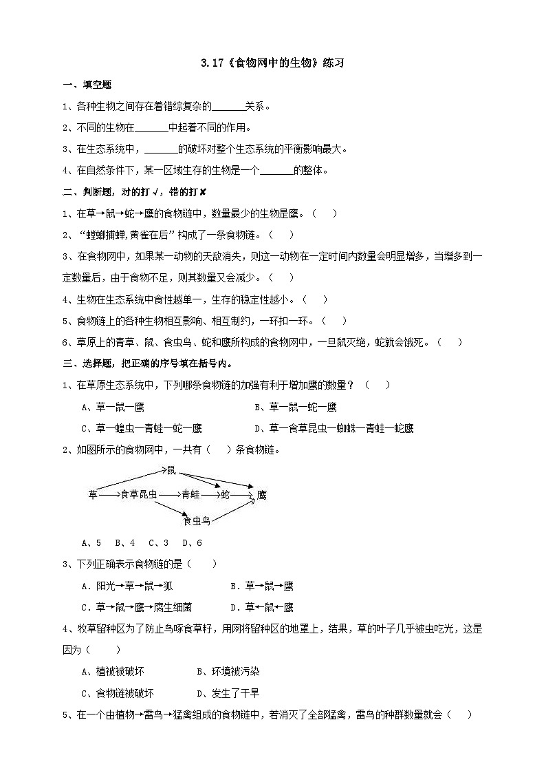 粤教粤科版（2019）科学六下 3.17《食物网中的生物》练习第1页