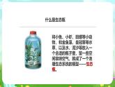 粤教粤科版（2019）科学六下 3.18《专题探究：生态瓶的秘密》课件+教案+练习+素材