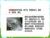 粵教粵科版（2019）科學(xué)六下 4.19《地球上的自然資源》課件+教案+練習(xí)+素材