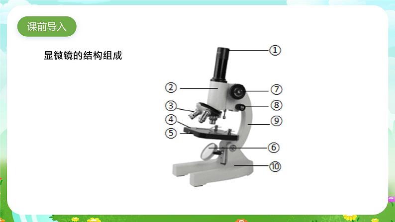 粤教粤科版（2019）科学五年级下册 第9课《用显微镜来观察》课件第2页