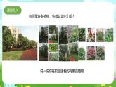 粵教粵科版（2019）科學(xué)四年級(jí)下冊(cè) 第6課《校園里的植物》課件+教案