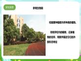 粵教粵科版（2019）科學(xué)四年級(jí)下冊(cè) 第6課《校園里的植物》課件+教案