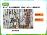 粵教粵科版（2019）科學(xué)四年級下冊 第13課《專題探究：幫鳥兒建個家》課件+教案