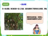 粵教粵科版（2019）科學(xué)四年級下冊 第13課《專題探究：幫鳥兒建個家》課件+教案