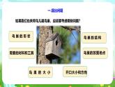 粵教粵科版（2019）科學(xué)四年級下冊 第13課《專題探究：幫鳥兒建個家》課件+教案