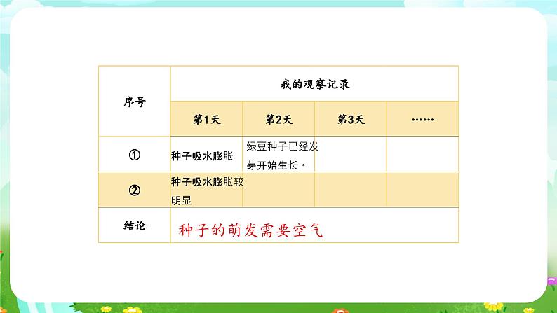 大象版（2017）科学四下 1.1《我们的豆苗》课件第7页