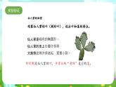 大象版（2017）科学四下 1.2《奇妙的植物》课件+教案