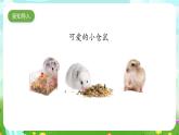 大象版（2017）科学四下 1.3《领养小仓鼠》课件+教案