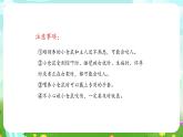 大象版（2017）科学四下 1.3《领养小仓鼠》课件+教案