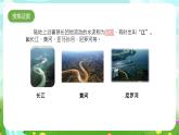 大象版（2017）科學(xué)四下 2.2《陸地上的水體》課件+教案